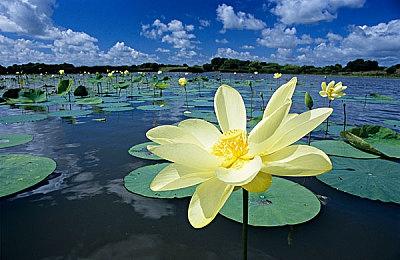 黄仁勋称AI工厂需大量技工：年薪轻松70万 还不用上大学